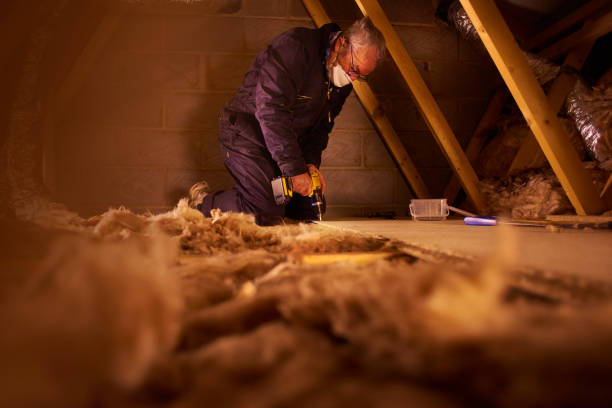 Best Insulation Materials and Products in Prairie City, IA
