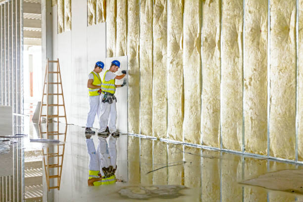 Best Insulation for Specific Applications in Prairie City, IA